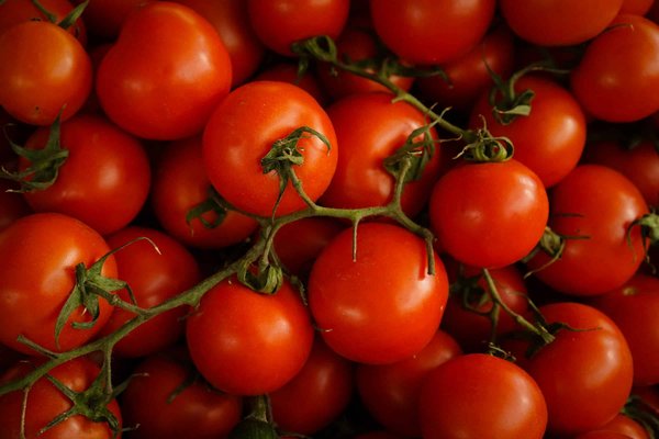Comment préparer une soupe de tomates rôties sans crème pour un déjeuner léger?